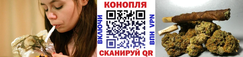 Купить  Шарыпово  Каннабис план 